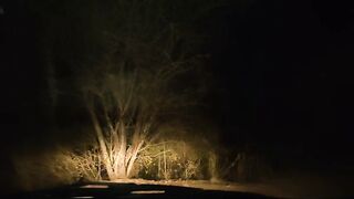 Sex with mother's friend in a car