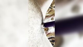 Ten orgasms at once for two - Lesbian_illusion